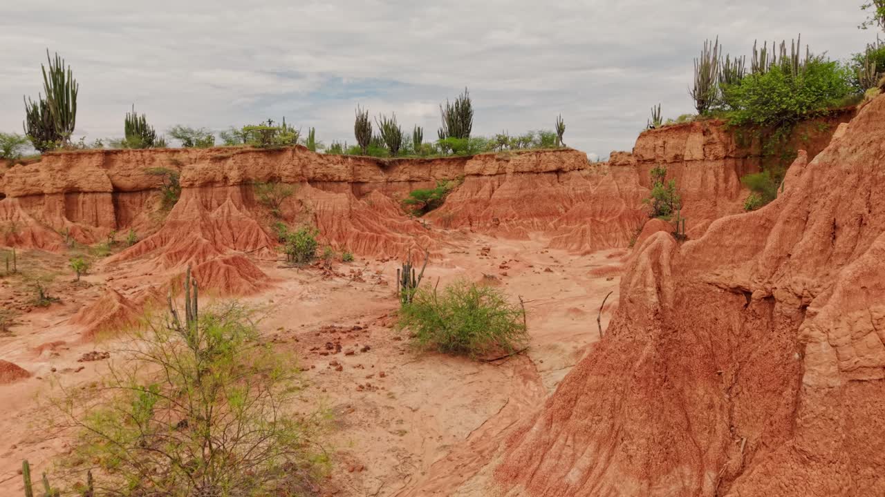 Splendide riprese aeree in movimento delle formazioni rocciose rosse e cactus nel deserto di Tatacoa, Huila, Colombia.