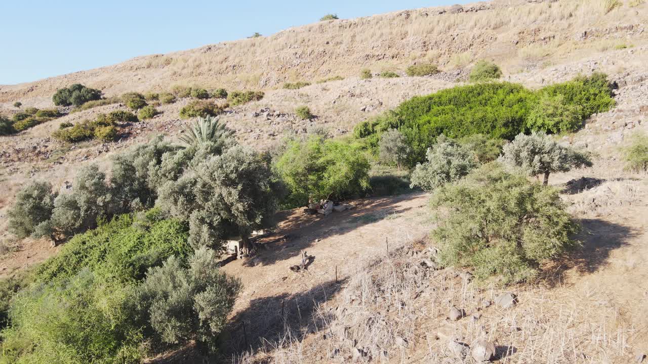 Mies istuu sohvalla ulkona luonnossa ohjaten droonia ja ottaen nopeita droonikuvia. Sijainti: Israel, Golanin kukkulat.