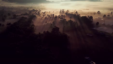 Mañanas-Místicas:-Sumérjase-En-El-Encanto-Etéreo-De-Kintamani,-Bali,-Mientras-La-Mañana-Brumosa-Revela-Una-Atmósfera-Serena-Y-Encantadora,-Donde-Los-Secretos-De-La-Naturaleza-Susurran-En-El-Aire