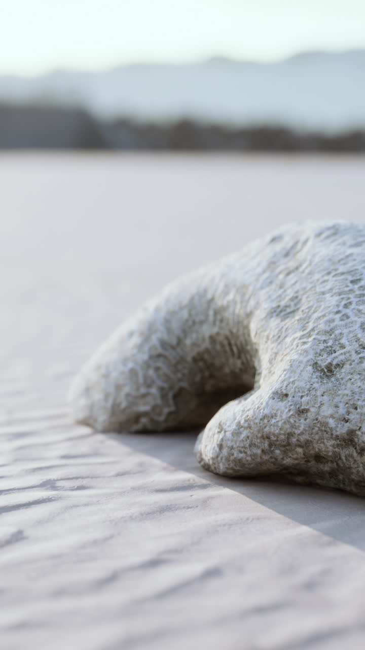 крупный план скалы на песчаном пляже