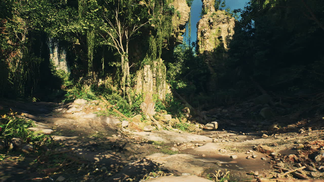 Dirt road cutting through rocky forest