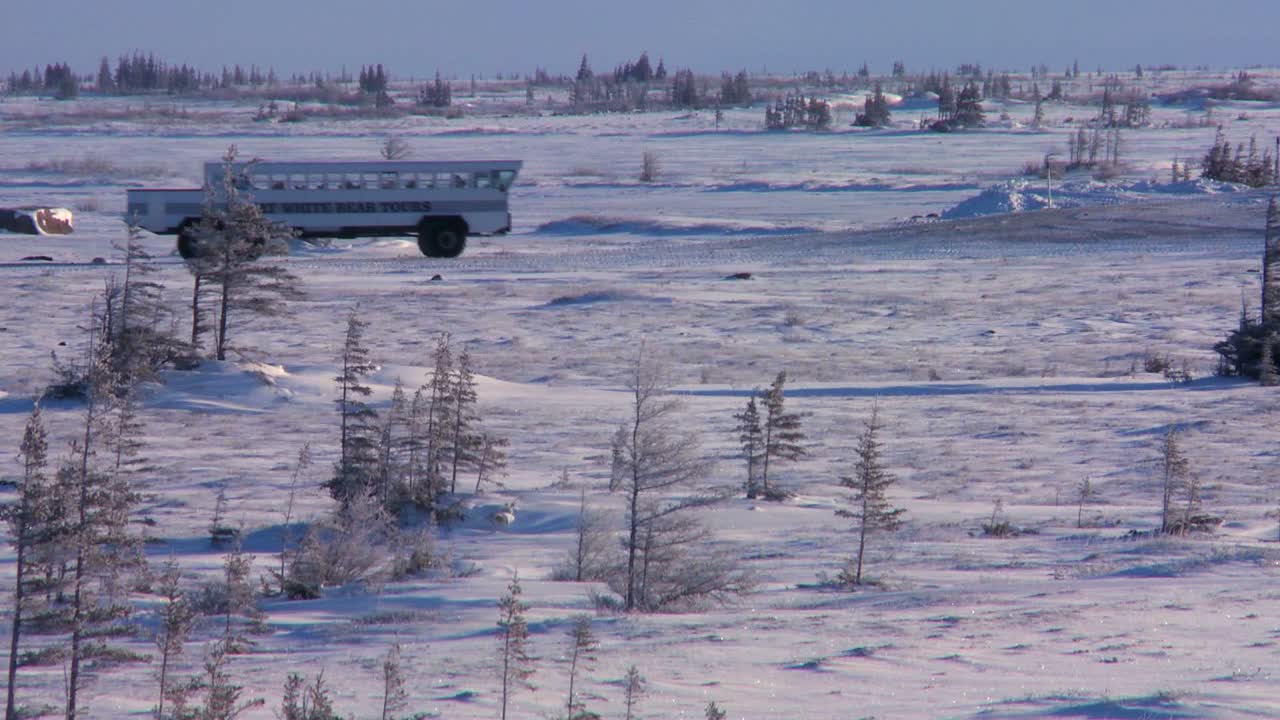 캐나다 허드슨 베이의 얼어붙은 창공을 가로지르는 북극 크롤러 툰드라 버기 2