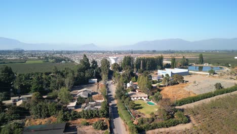 Ribera-Del-Maipo-Büsche,-In-Der-Gemeinde-Buin,-Chile