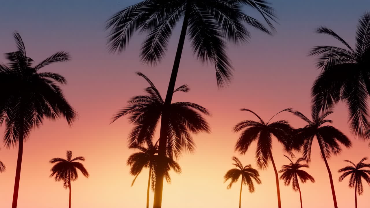 Silhouetted Palm Trees Against a Colorful Sunset Sky