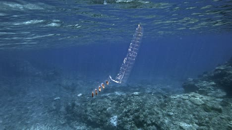 Residuos-De-Envases-De-Plástico-Flotando-Bajo-El-Océano-Azul