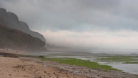 misty beach scene with cliffs and waves