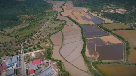 Gran-Campo-De-Arroz-Aéreo-Cámara-Lenta-Plano-Amplio