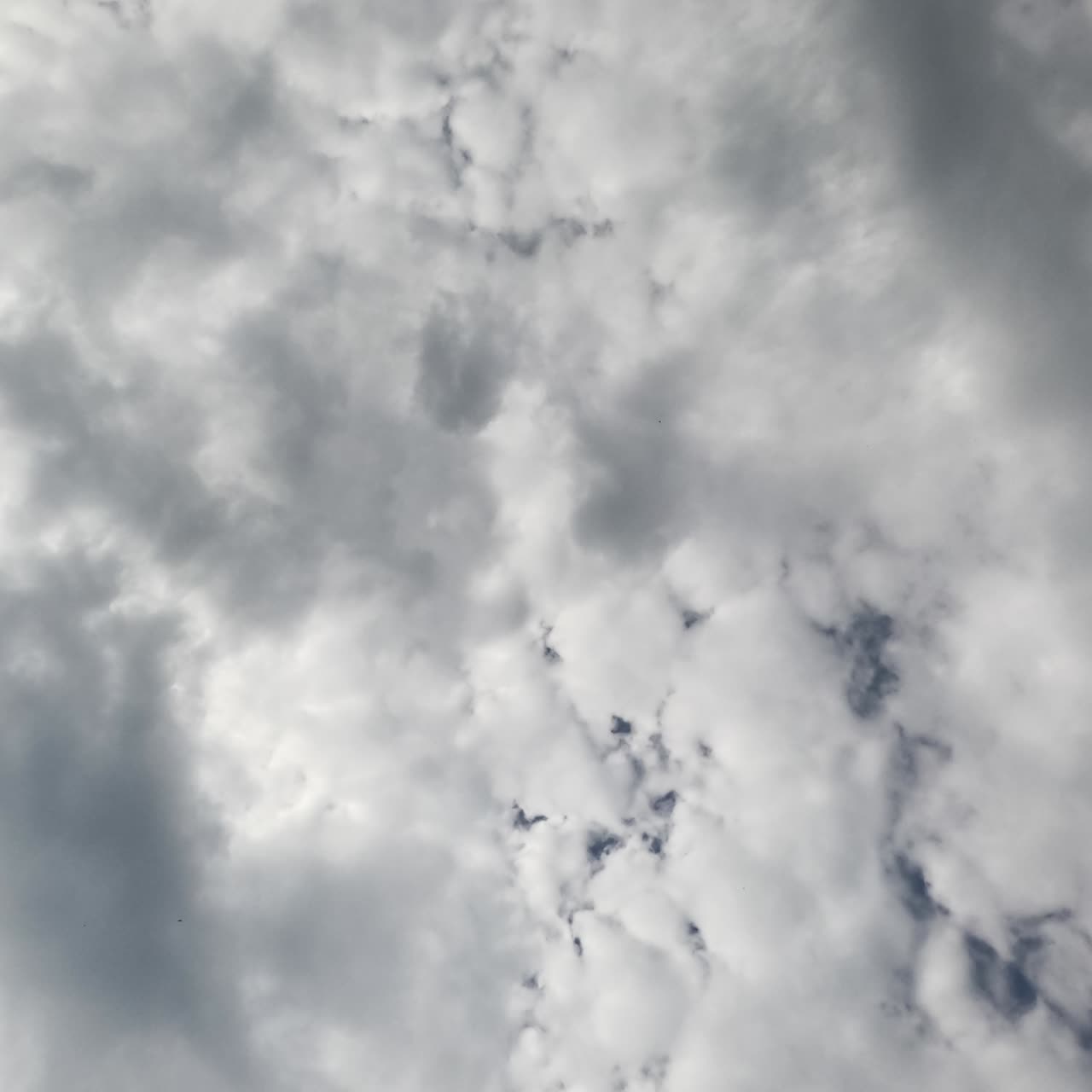 Cumulus clouds building in the sky. Cloudscape almost totally covering the horizon. Timelapse footage from below perspective