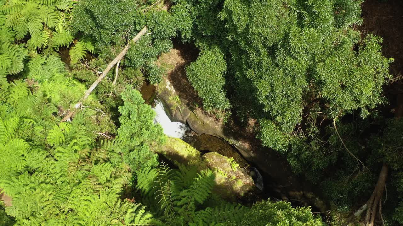 vista superior de una cascada en el parque natural de agualva sendero parque das frechas en agualva, acores, portugal