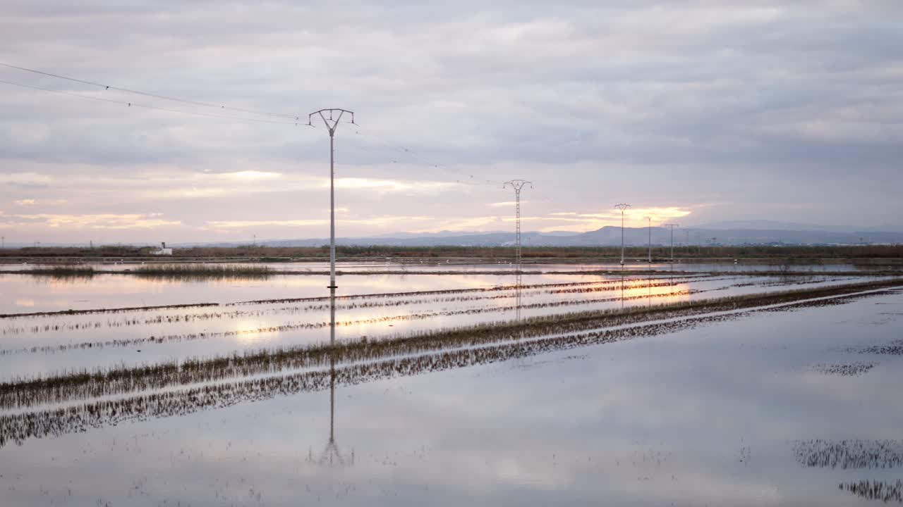 Sunset over a flooded rice paddy with power lines