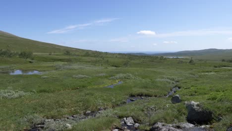 Tilting-upward-from-a-small-spring-water-creek,-showing-beautiful-green-mountain-pastures-with-blue-sky-in-Jamtland,-Sweden