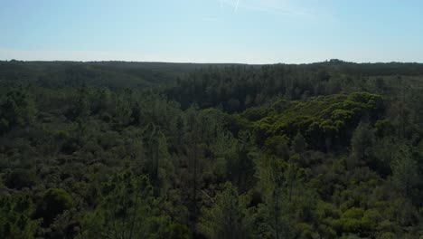 Aerial-shot-over-the-natural-beauty-of-south-of-Portugal