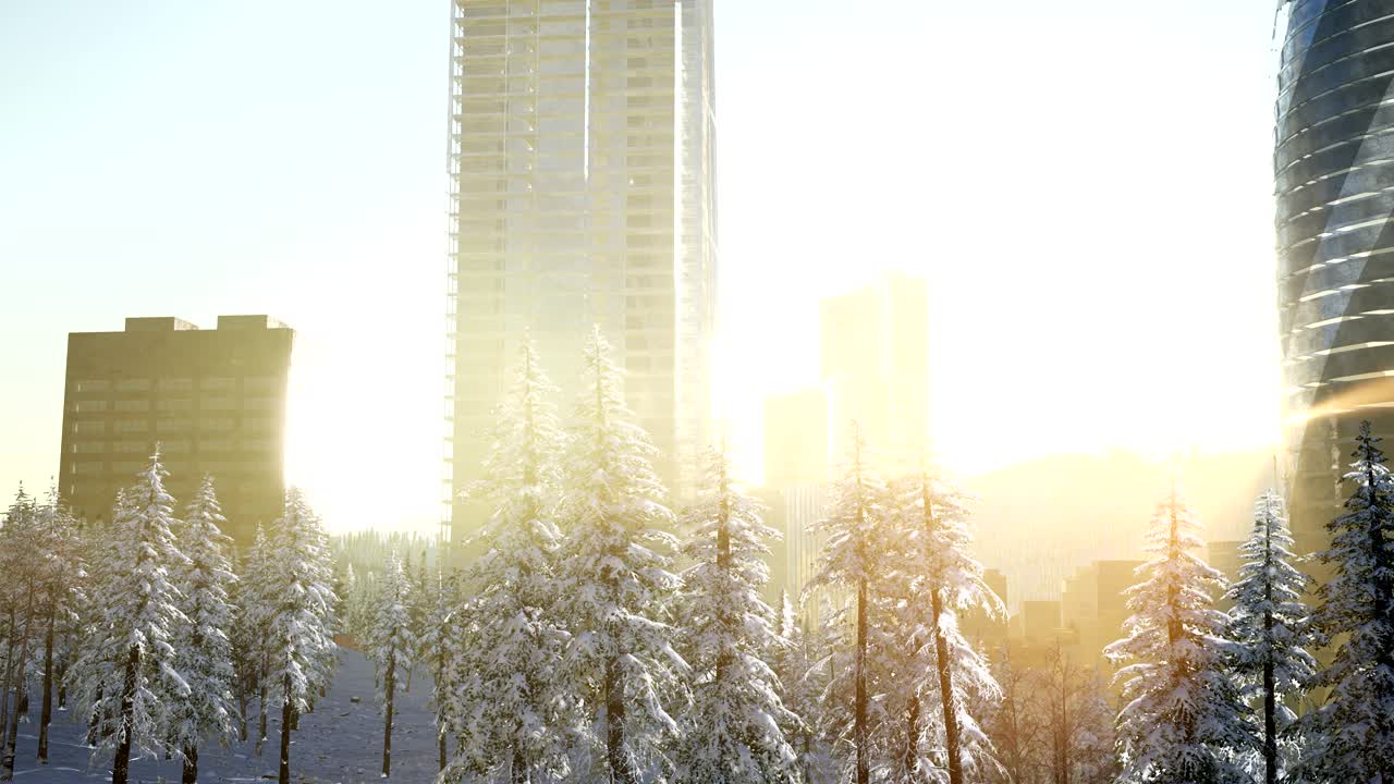 Cidade e floresta na neve