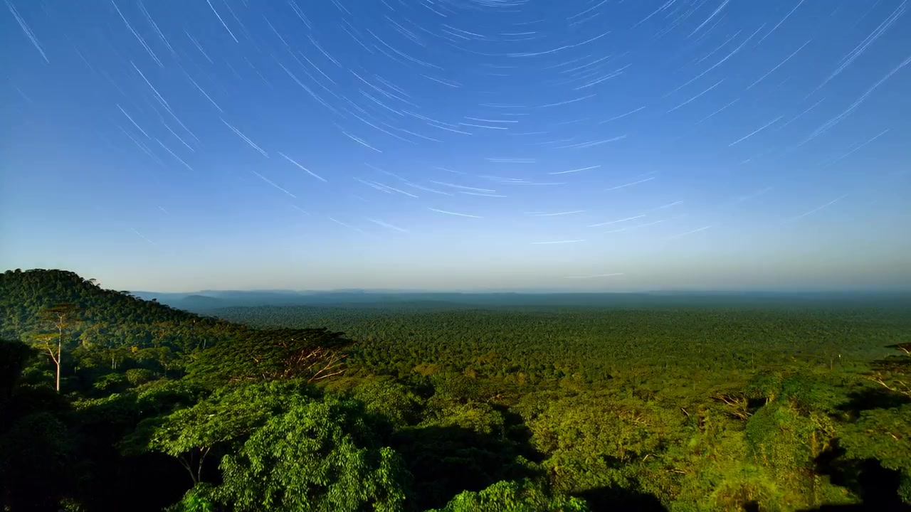 Registrazione di un time-lapse notturno, con scie stellari e la volta della foresta che catturano la transizione dell'alba da una cresta