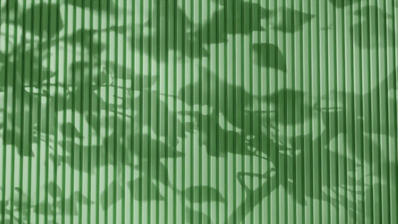 Shadow of tree branches and leaves on vertical green corrugated metal wall. Abstract natural light and linear pattern background. Design for wallpaper, banner, postcard, greeting card, poster, header.