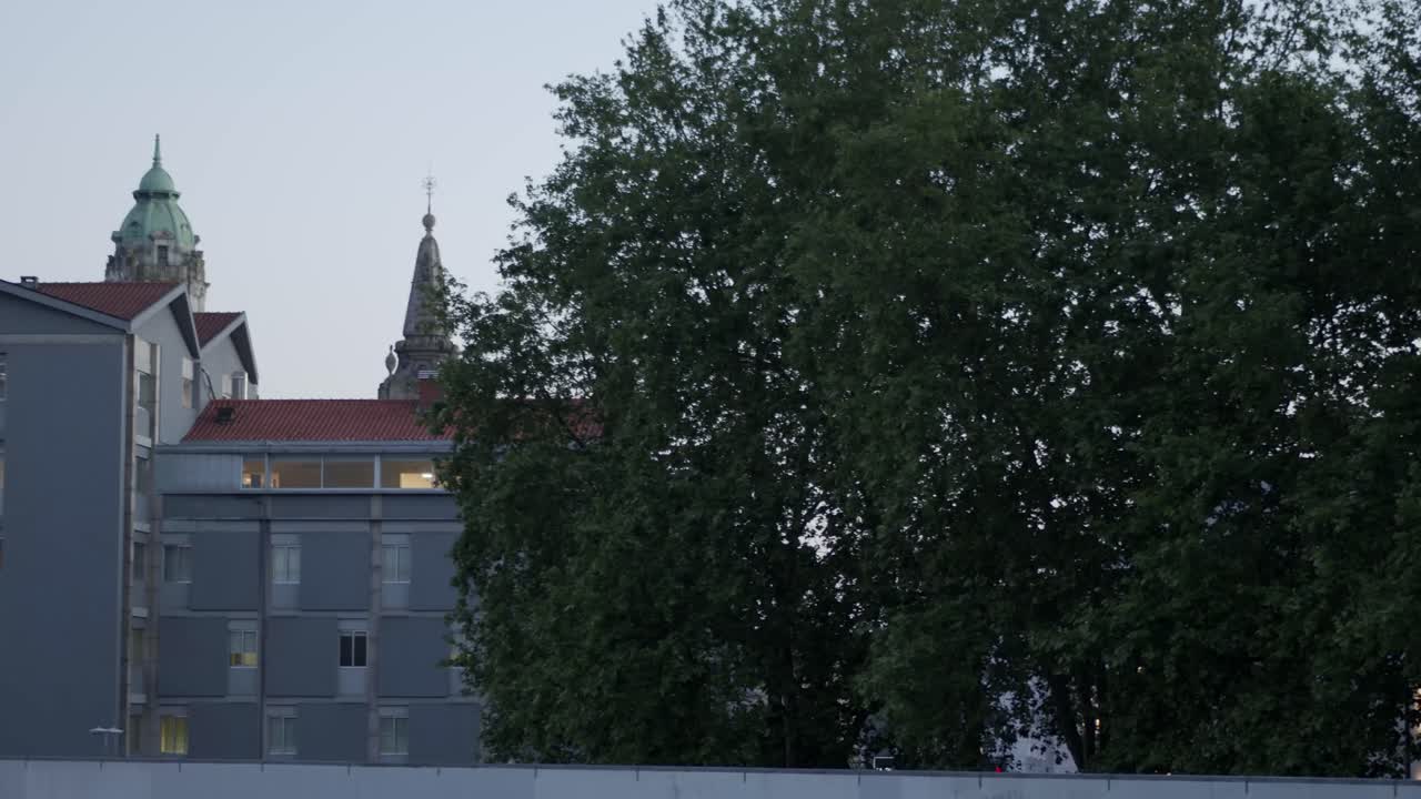 포르투갈 포르토 에 있는 일부 교회 탑 이 뒤 에 어 있는 나무