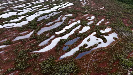 Aerial-view-of-a-frozen-swamp-in-winter