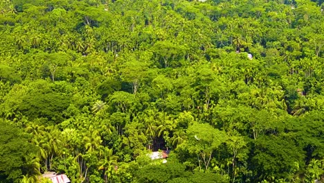 remote indigenous village houses inside tropical forest, aerial slide