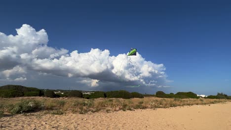 green kite with long tail flying in blue