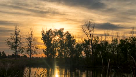 glorioso amanecer dorado sobre un estanque y árboles con el cielo reflejado en el agua - lapso de tiempo