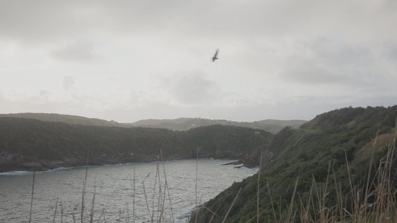 Uccelli che volano sopra una penisola verde e una baia tranquilla in una giornata nuvolosa a Buzios, Brasile