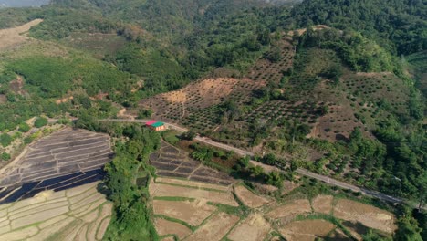 Aéreo,-Cultivo-Migratorio-Sostenible-Y-Campos-De-Arroz-De-Tailandia