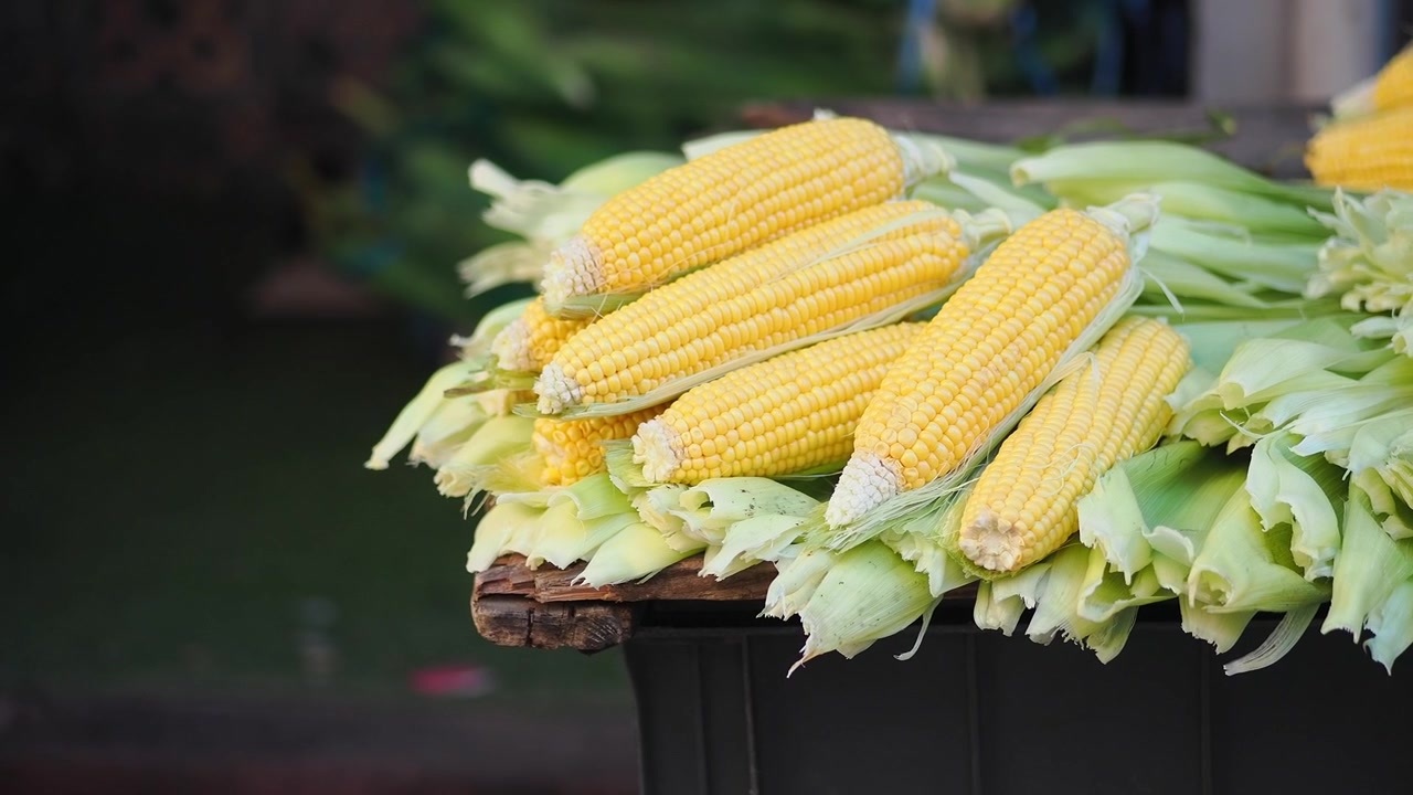 Freshly Harvested Corn Cobs on a Wooden Market Stall
