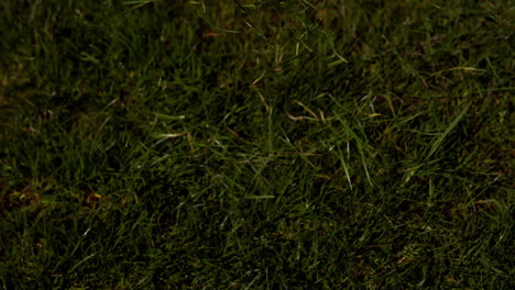 football player kicking the ball on grass