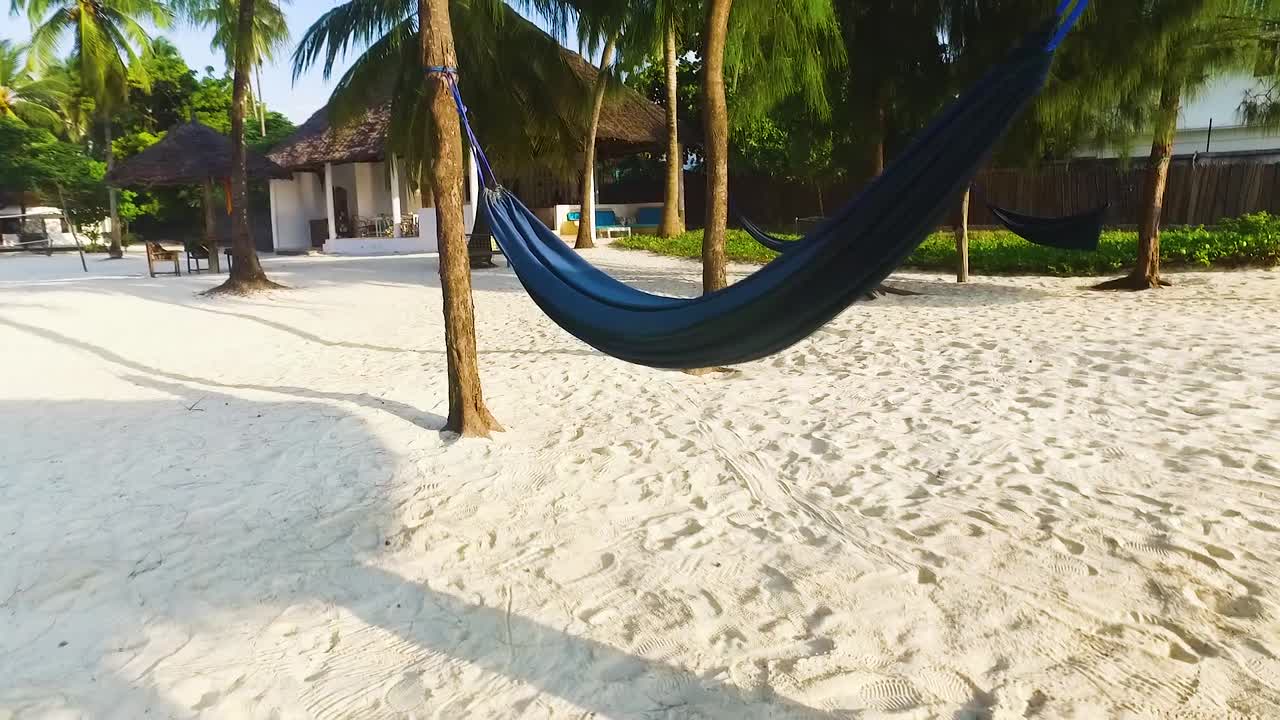 playa de arena blanca y árbol de coco en la isla de zanzíbar al atardecer