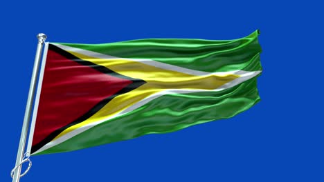 4k highly detailed flag of guyana - guyana flag high detail - national flag guyana wave pattern loopable elements