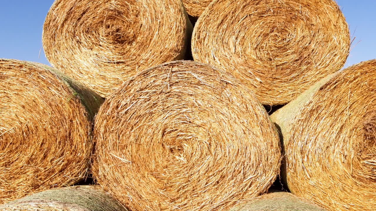 pila con fardos de paja. agricultura