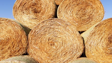 Pile-with-bales-of-straw.-Agriculture