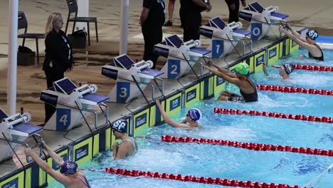 swimmers dive and race in a competitive event