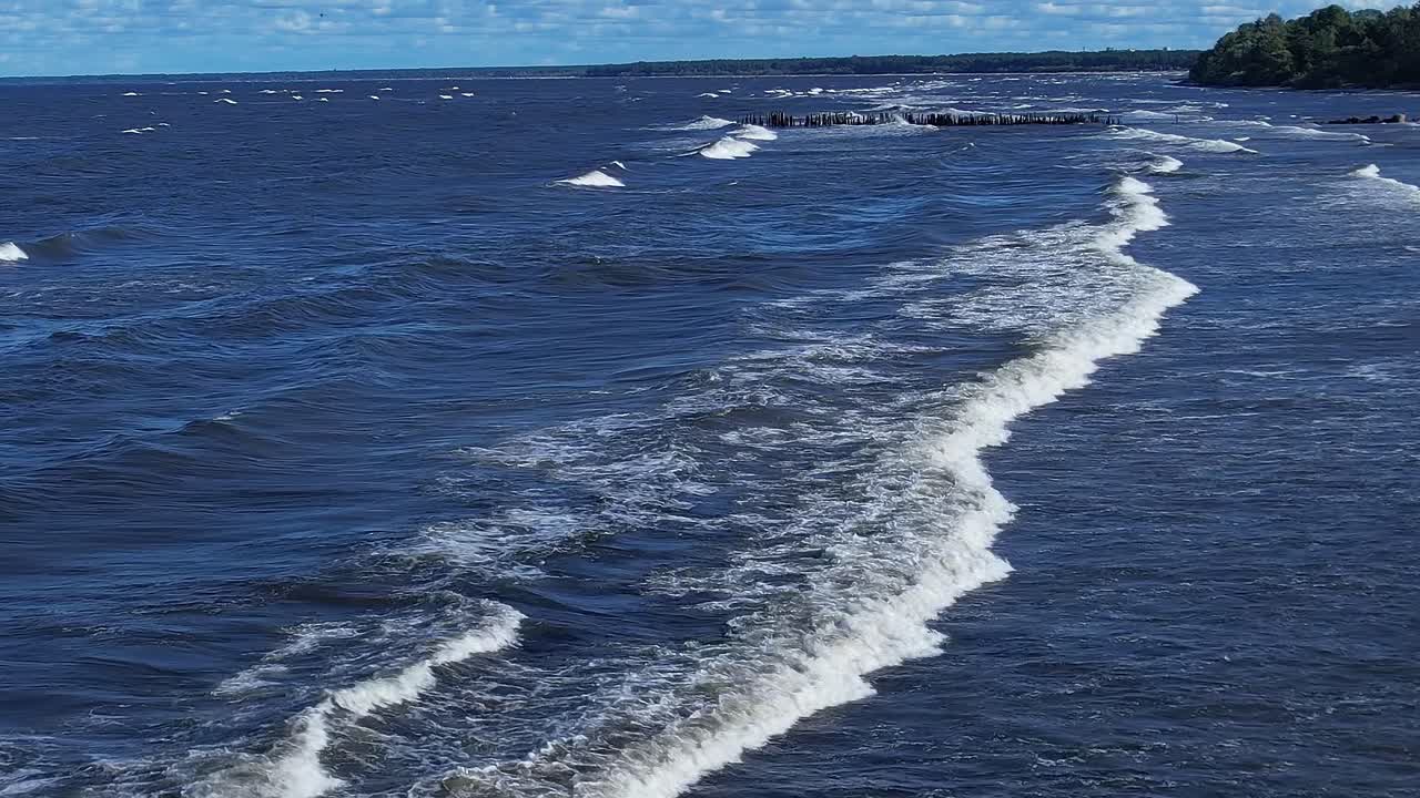 澄み切った空の下、バルト海の岸に打ち寄せる波