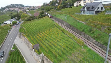 Vista-Aérea:-Viñedos-De-Lavaux,-Carreteras-Y-Automóviles,-Y-Un-Tren-Regional,-Suiza