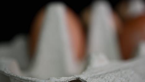 camera zooms out defocused eggs in a paper tray, food and cooking