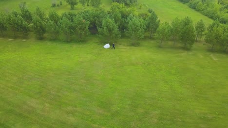 bride and groom run along field to trees bird eye view