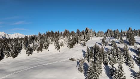 Hermosos-Alpes-Italianos-Durante-El-Invierno-Con-árboles-Llenos-De-Nieve-Y-Una-Increíble-Puesta-De-Sol