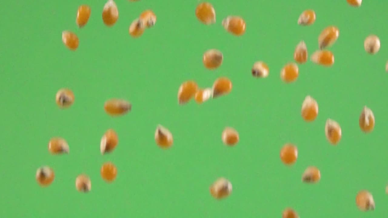 grano de maíz cayendo lentamente sobre un fondo cromático