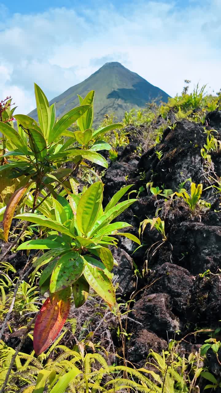 La cima del vulcano Arenal dietro una formazione rocciosa vulcanica con piante tropicali. Vista del vulcano Arenal a forma di cono in Costa Rica con rocce laviche scure e vegetazione verde in primo piano.