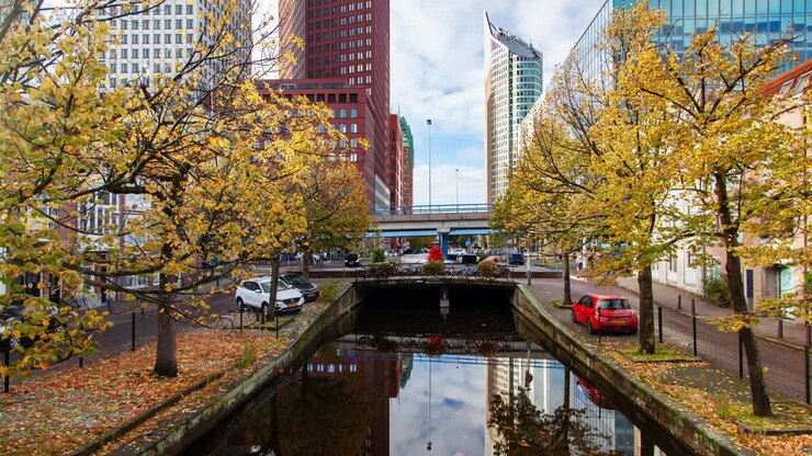 Canale cittadino dell'Aia in autunno