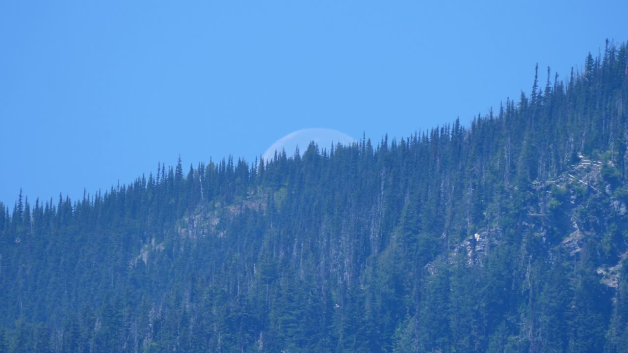 캐나다 브리티시 컬럼비아 에 있는 릴루 ⁇  호수 의 침 ⁇  나무 숲 산 들