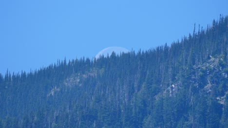 Nadelwaldberge-Des-Lillooet-Lake-In-British-Columbia,-Kanada