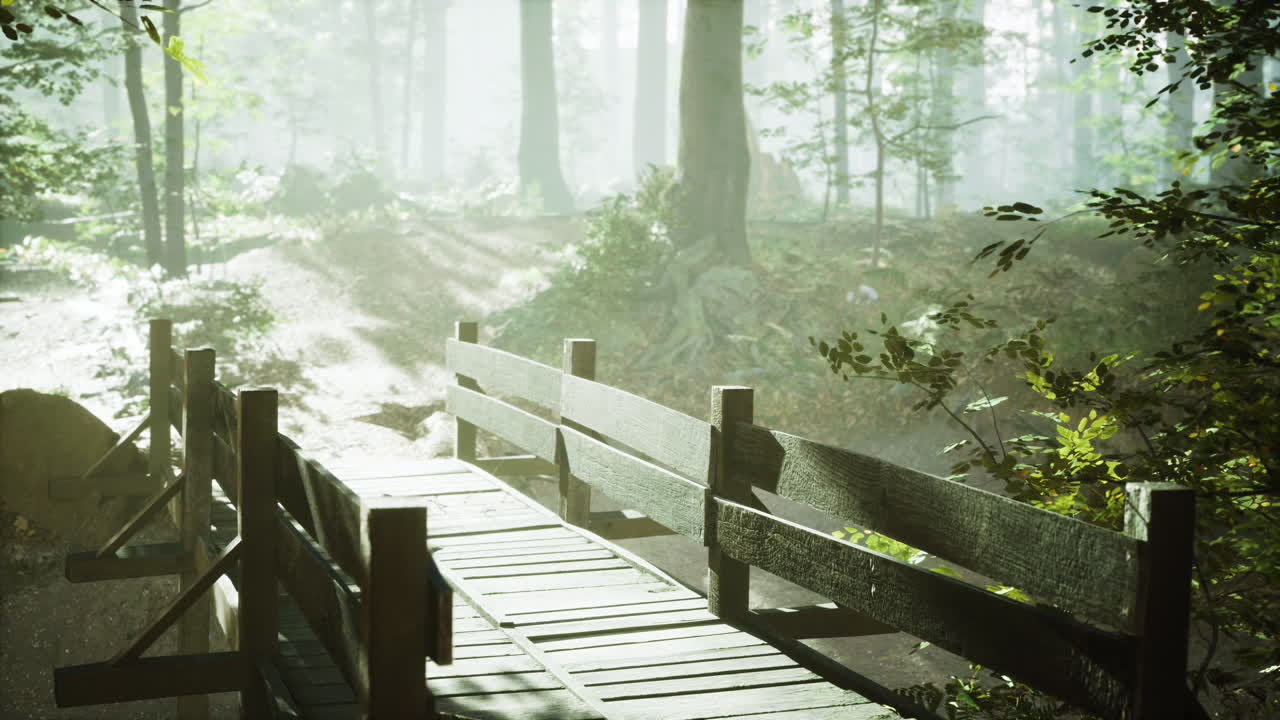 공원 에 있는 작은 하천 을 가로지르는  ⁇ 은 나무 다리