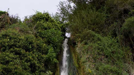 Corriente-De-Agua-Que-Fluye-Desde-Un-Bosque-Denso-Y-Exuberante,-Formando-Una-Cascada