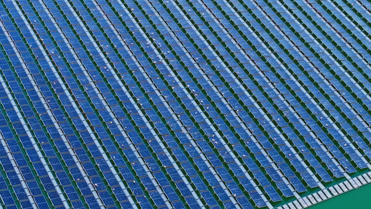 Aerial glide over floating solar field with perched seagulls during warm sunset