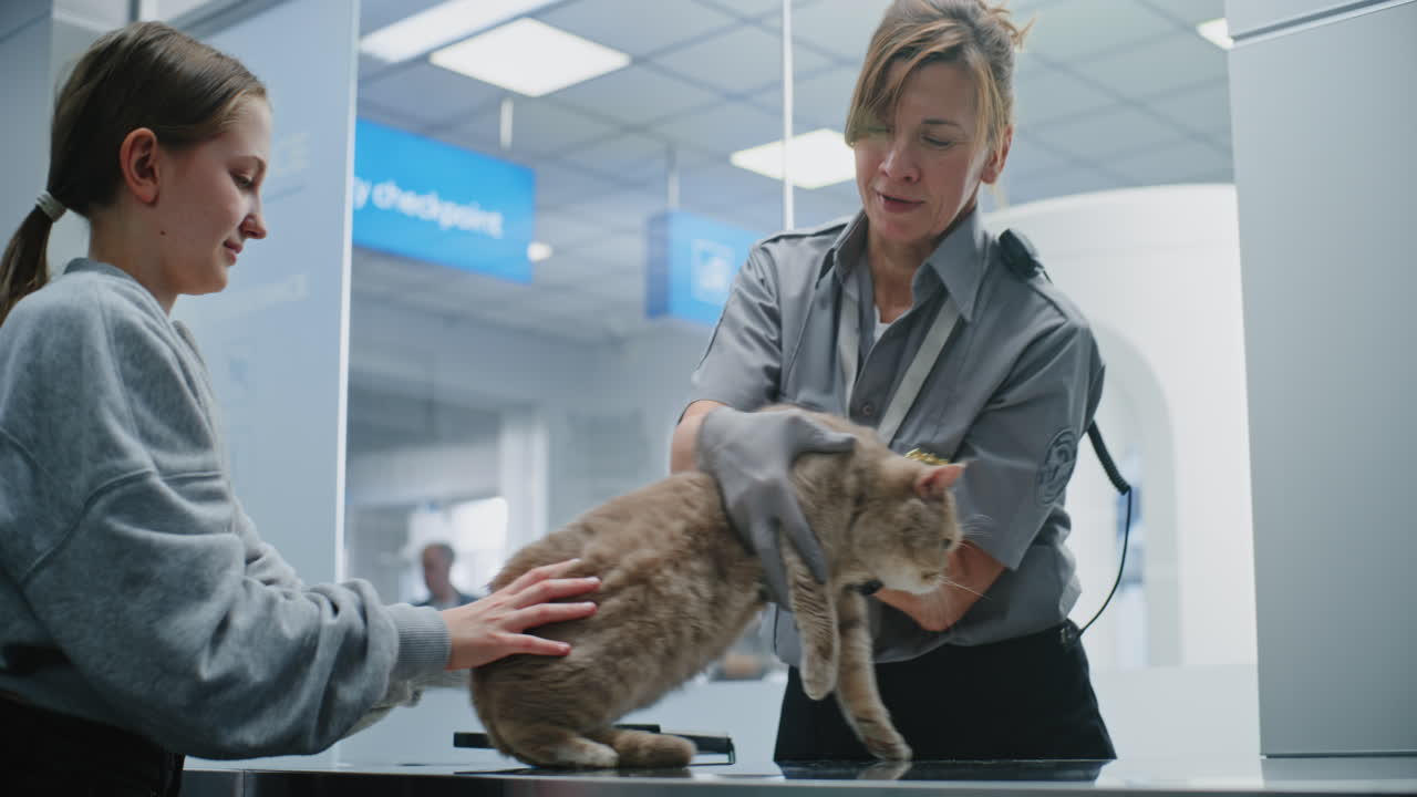 Airport Pet Inspection