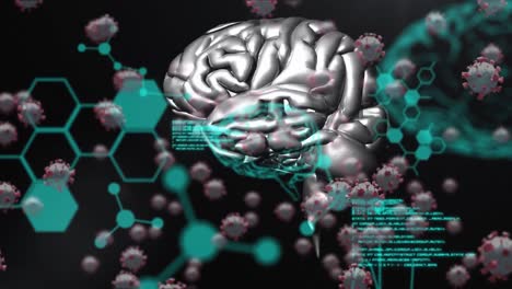 animation of macro coronavirus covid-19 cells over a brain spinning