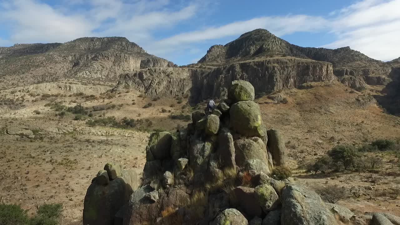 이 드론은 아름다운 야생 생명체입니다.