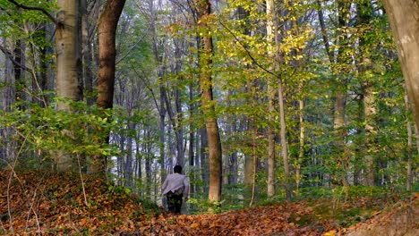 Herbstwald-Laufen